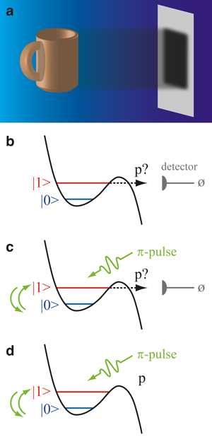 (a) The projection of an object (i.e., its shadow) in general cannot be inverted to obtain the original object. (b) Simplified diagram of the phase qubit potential during the weak continuous measurement.  State $|1\rangle$ tunnels out with probability $p$, resulting in a detector click. A null measurement with no click will lead to a partial collapse of the initial state towards $|0\rangle$.  (c) After the first null measurement, a $\pi$-pulse applied to the qubit flips the amplitudes of states $|0\rangle$ and $|1\rangle$. The same measurement is now repeated. (d) If the result is also null, then a second $\pi$-pulse will restore the qubit to its original state—the partial collapse of the wave function has been undone.